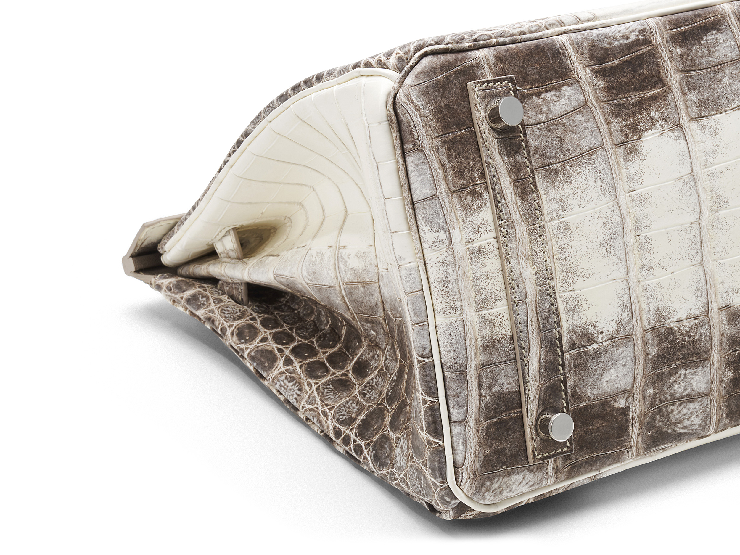 himalayan crocodile leather