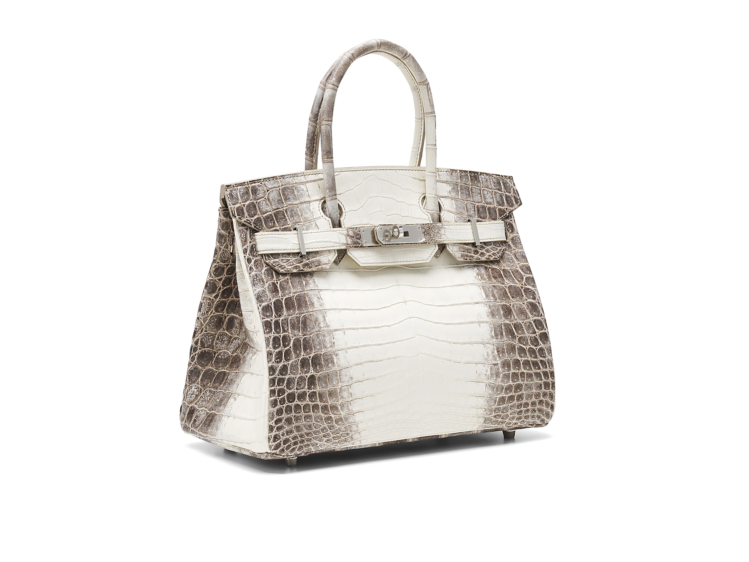 Most Expensive Hermes Bag Ever - Himalayan Croc Birkin