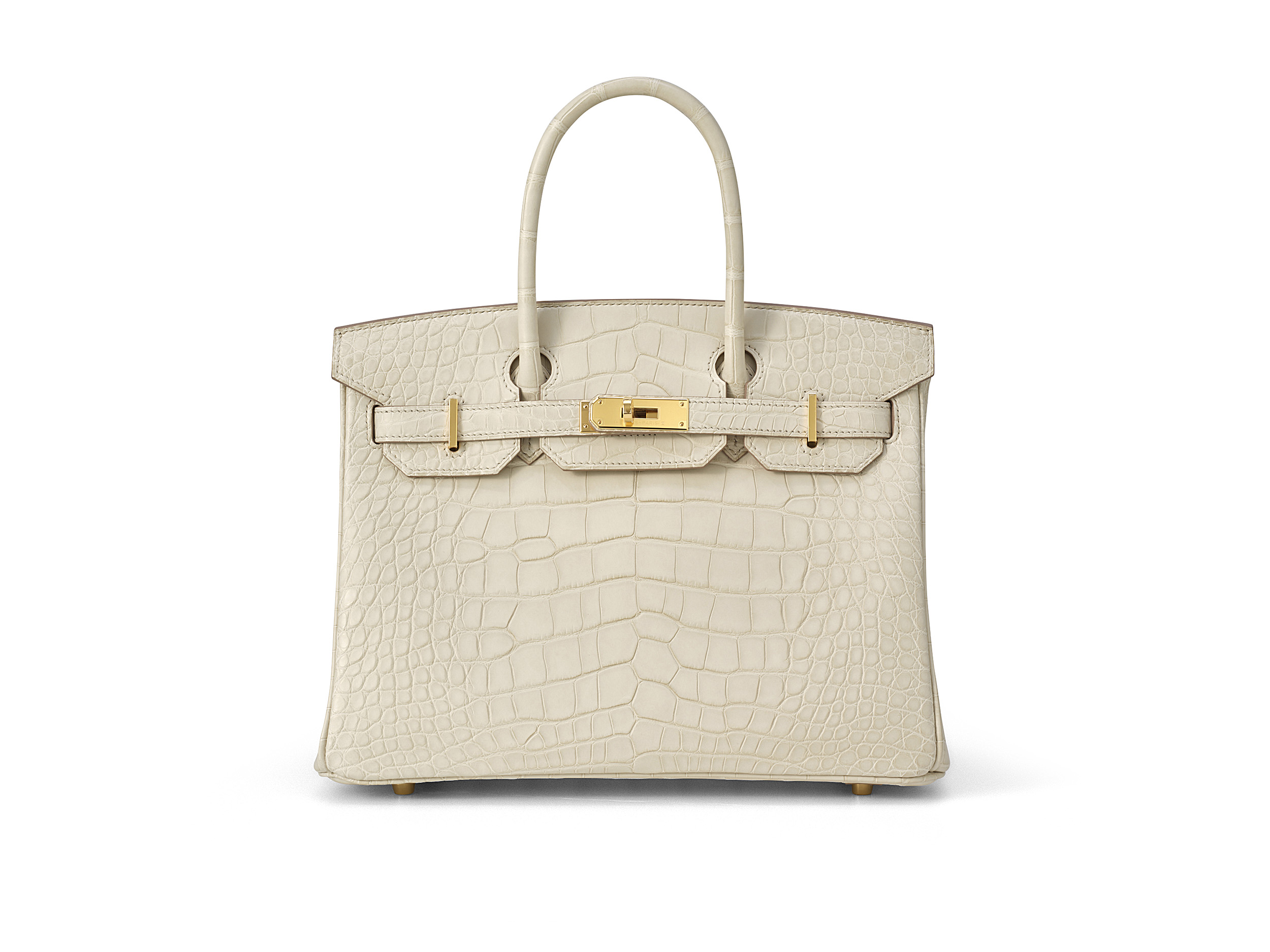 hermes matte crocodile birkin bag